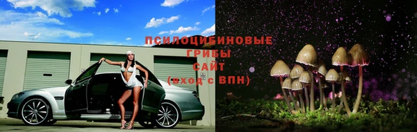 spice Снежногорск