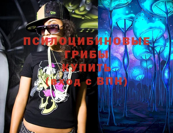 spice Снежногорск